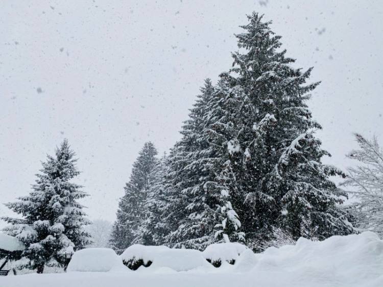 Winter im Zillertal mit Freebird-Reisen
